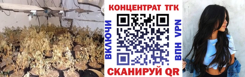 гидра tor  Нерехта  ТГК жижа 
